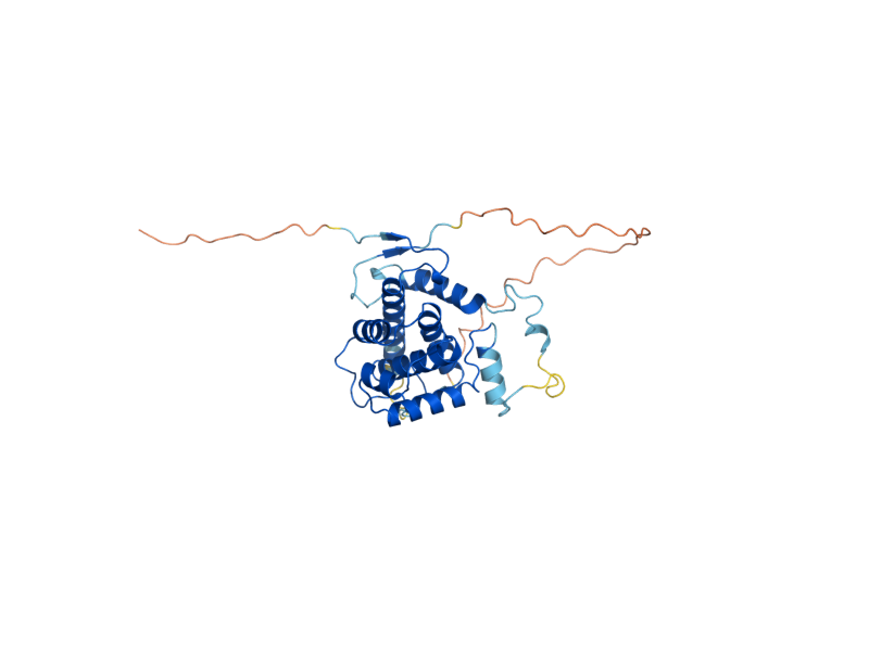 AlphaFold predicted structure of PHO80
