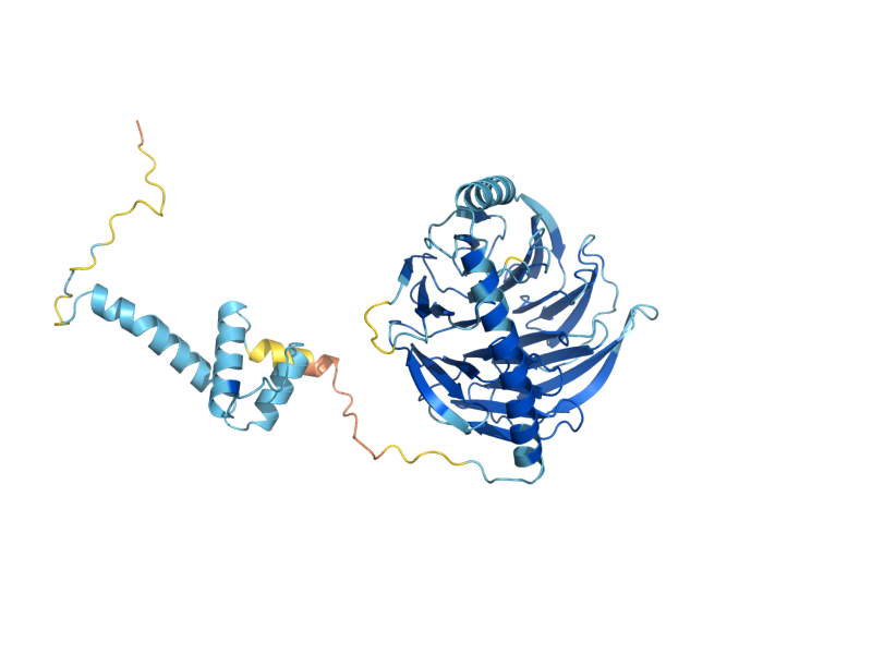 AlphaFold predicted structure of PRP4