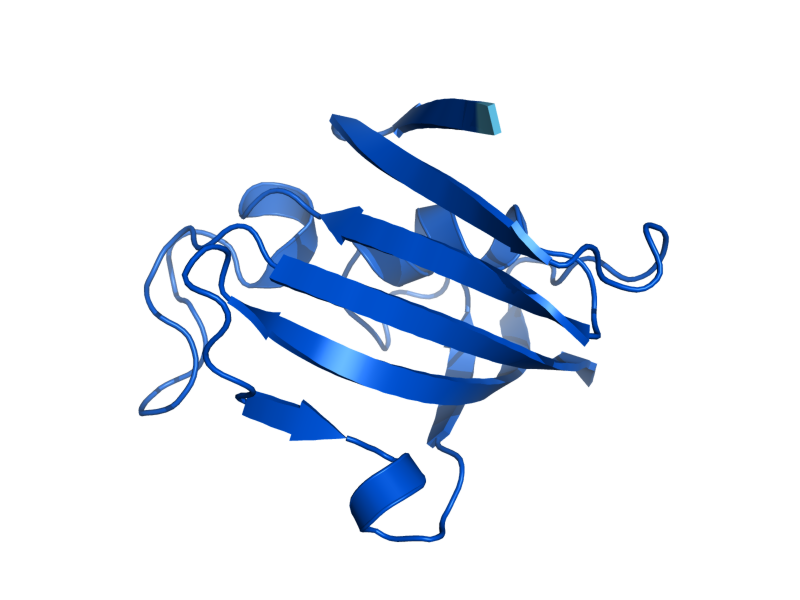 AlphaFold predicted structure of FPR1