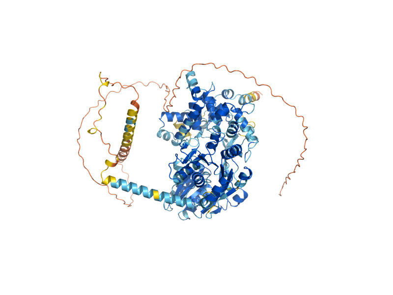 AlphaFold predicted structure of PRP2