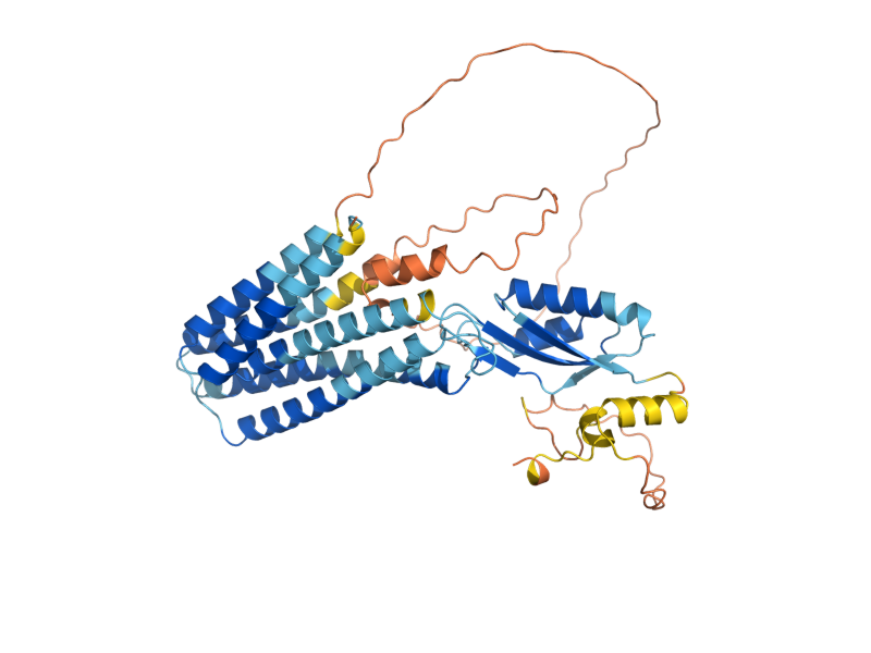 AlphaFold predicted structure of ZRC1