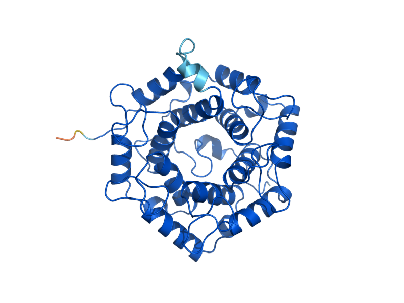 AlphaFold predicted structure of BET2