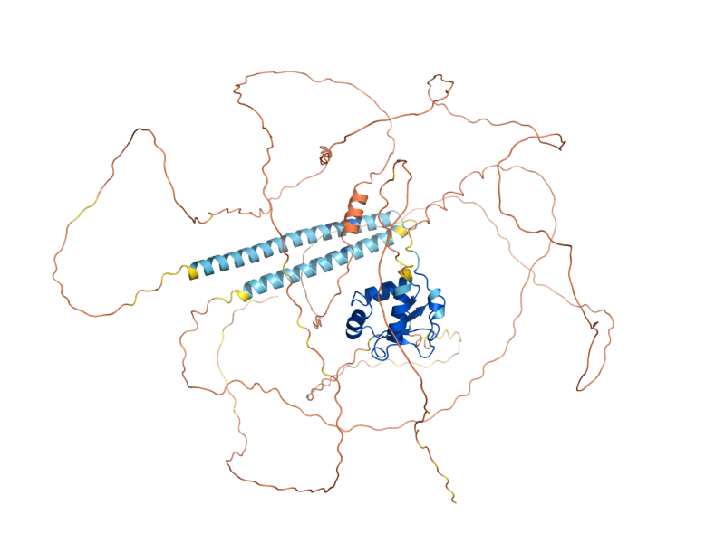 AlphaFold predicted structure of SFL1