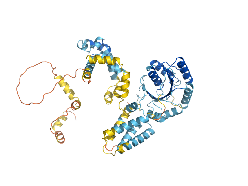 AlphaFold predicted structure of SRP54