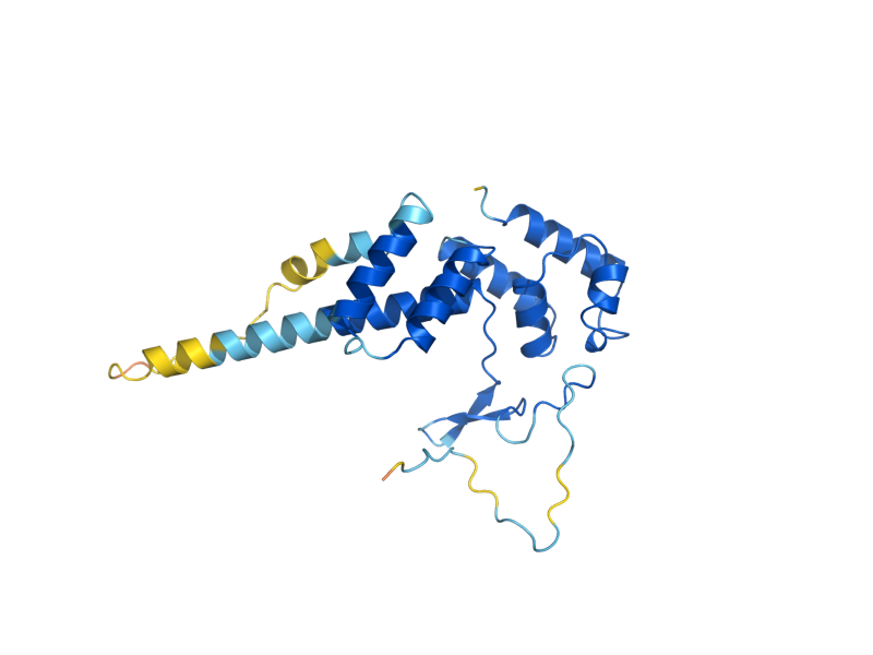 AlphaFold predicted structure of RPB4