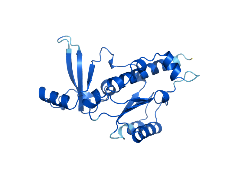 AlphaFold predicted structure of RPB5
