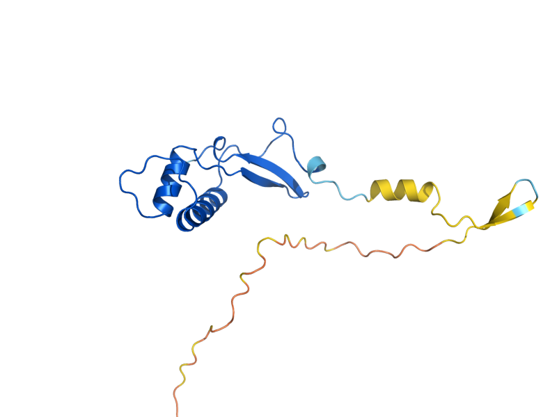 AlphaFold predicted structure of RPO26