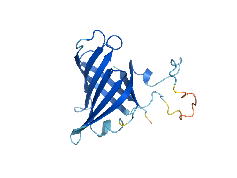 AlphaFold predicted structure of RPB8