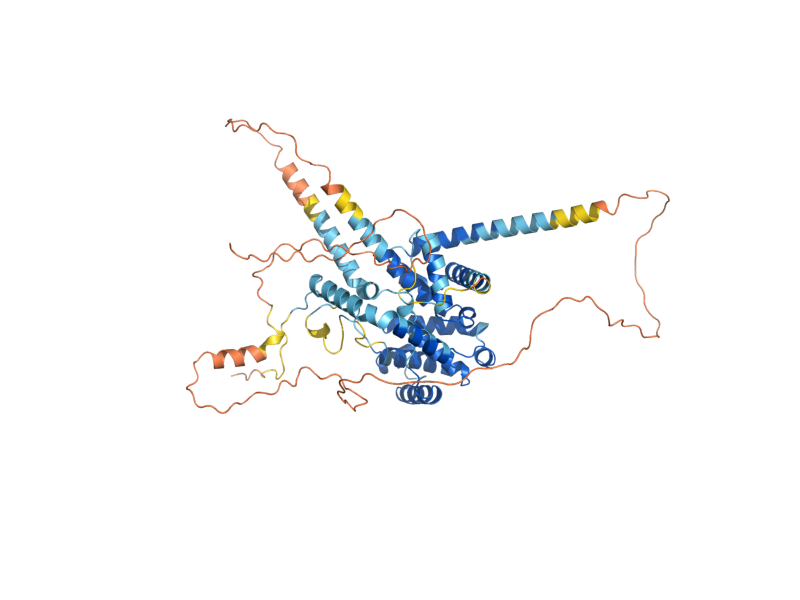 AlphaFold predicted structure of CLN1