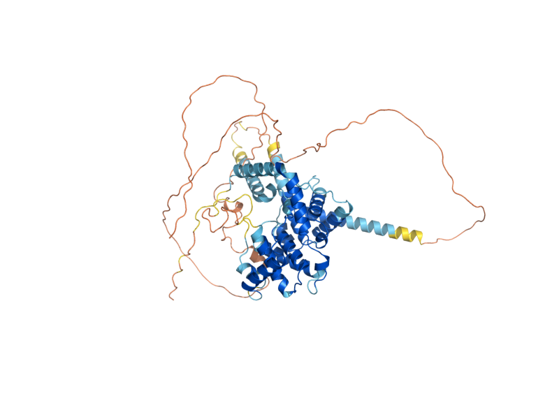 AlphaFold predicted structure of CLN2