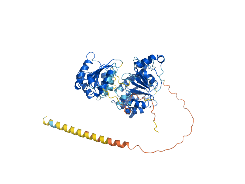 AlphaFold predicted structure of DBP3
