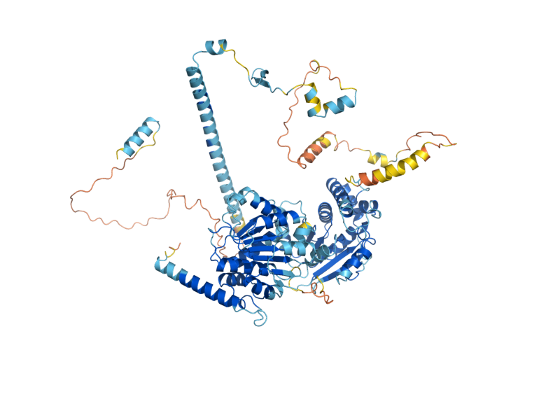 AlphaFold predicted structure of HCA4