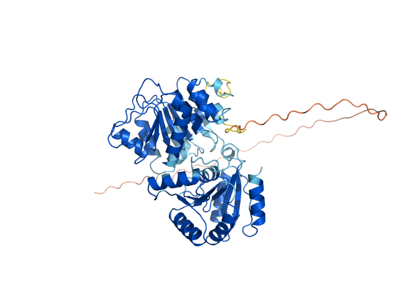 AlphaFold predicted structure of DBP5