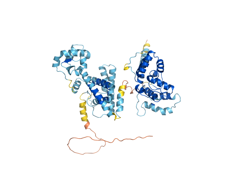AlphaFold predicted structure of PRI2