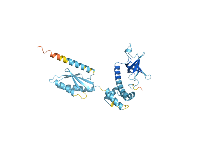 AlphaFold predicted structure of SUI2