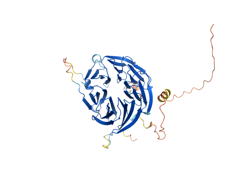 AlphaFold predicted structure of MAK11