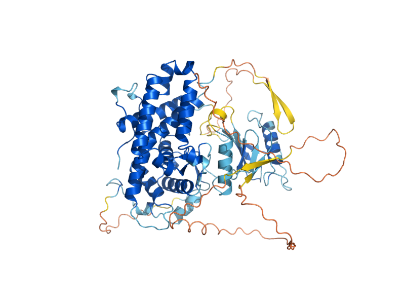 AlphaFold predicted structure of CKI1