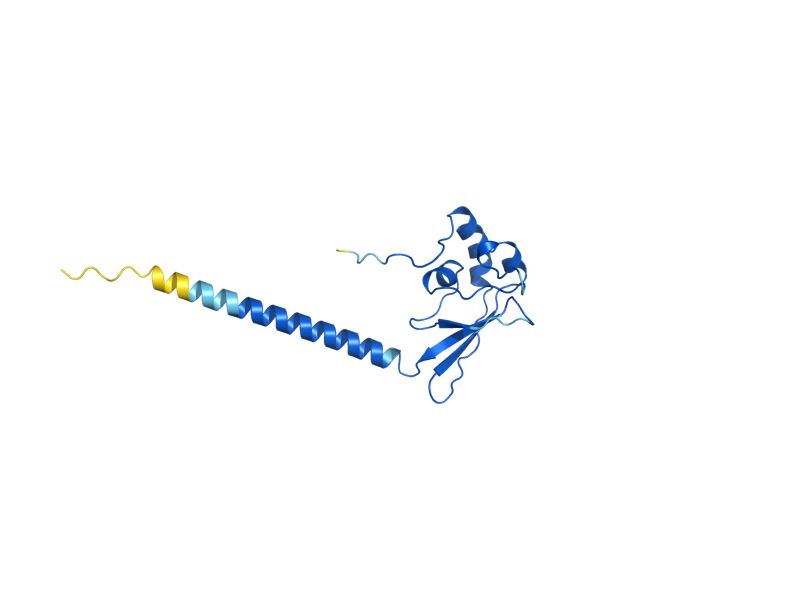 AlphaFold predicted structure of CKS1