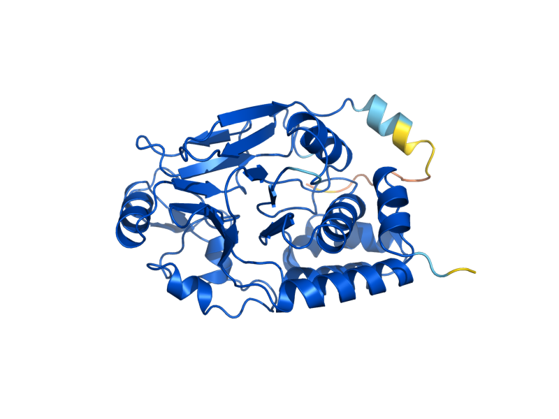 AlphaFold predicted structure of SIT4