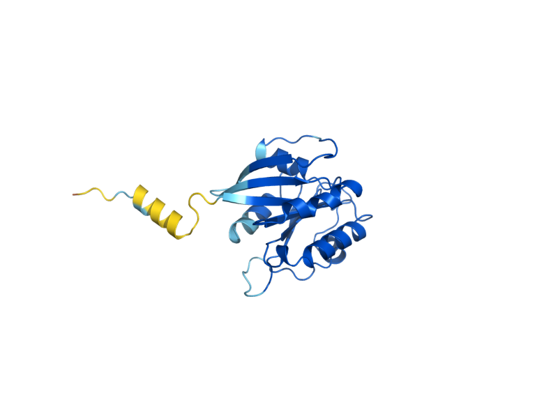 AlphaFold predicted structure of SAR1