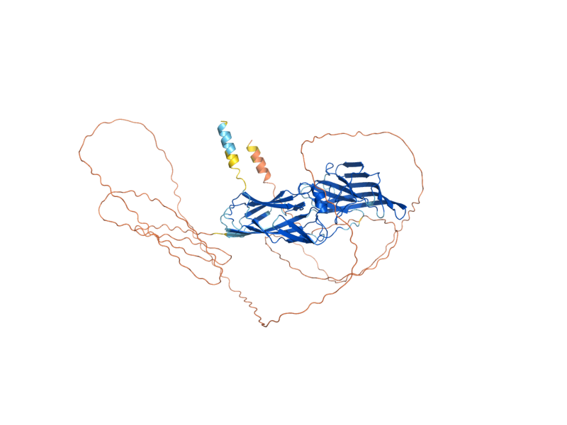 AlphaFold predicted structure of SAG1