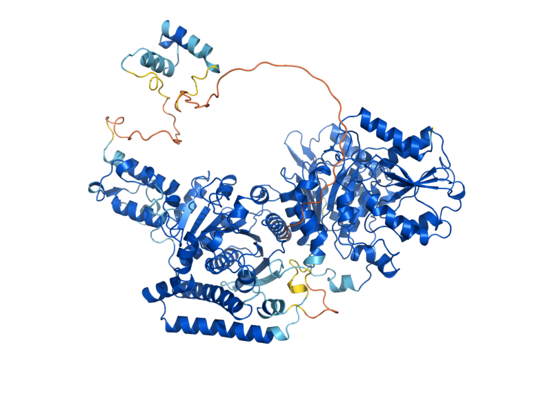 AlphaFold predicted structure of KGD1