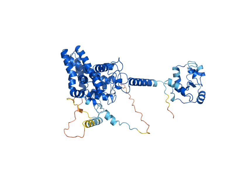 AlphaFold predicted structure of OLE1
