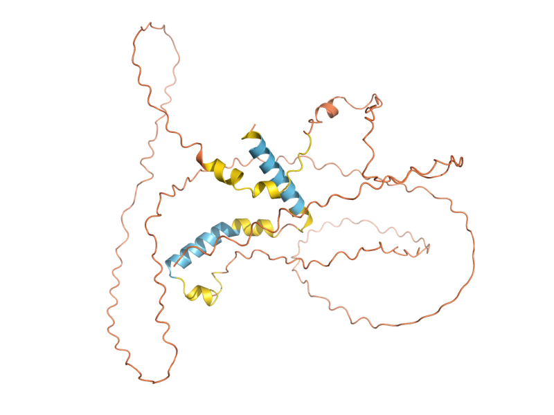 AlphaFold predicted structure of IME1