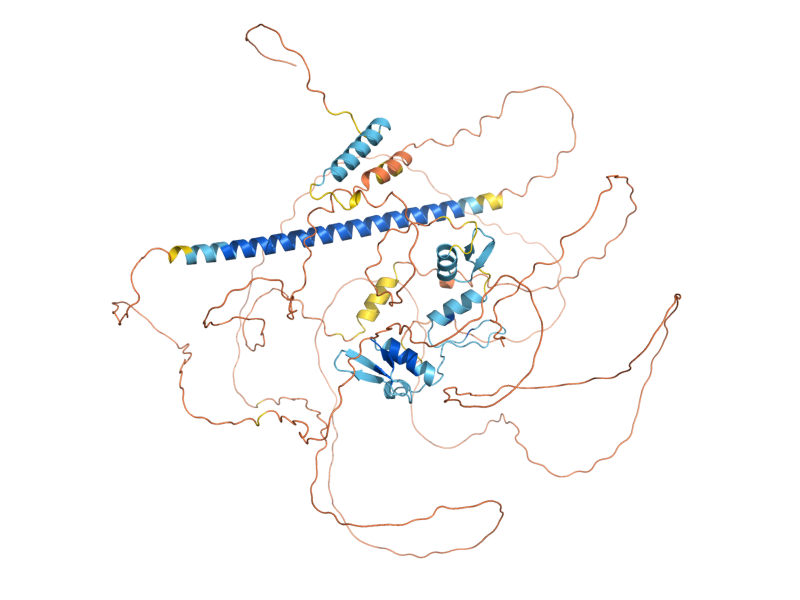 AlphaFold predicted structure of ACE2