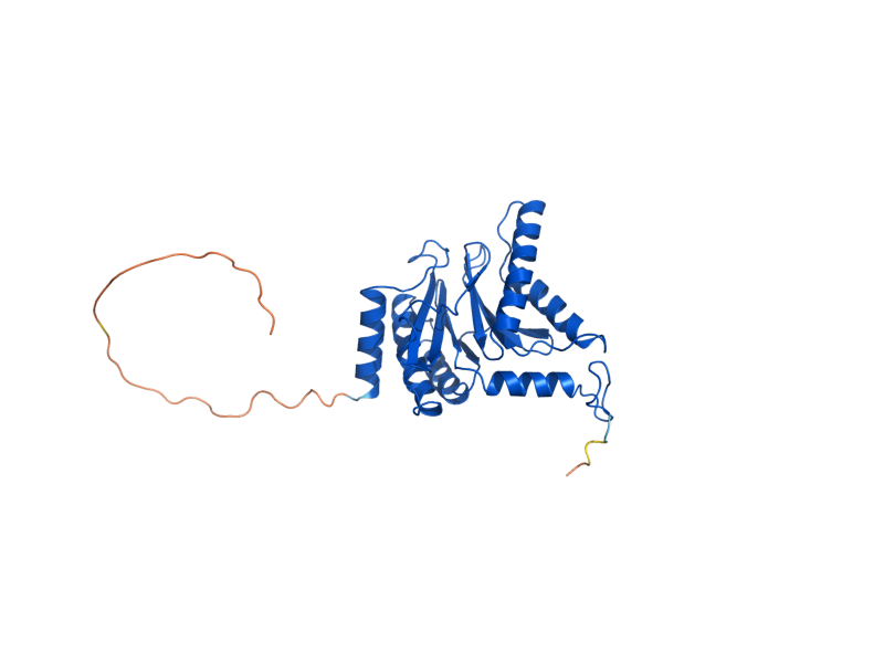 AlphaFold predicted structure of PRE10