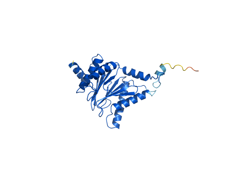AlphaFold predicted structure of SCL1