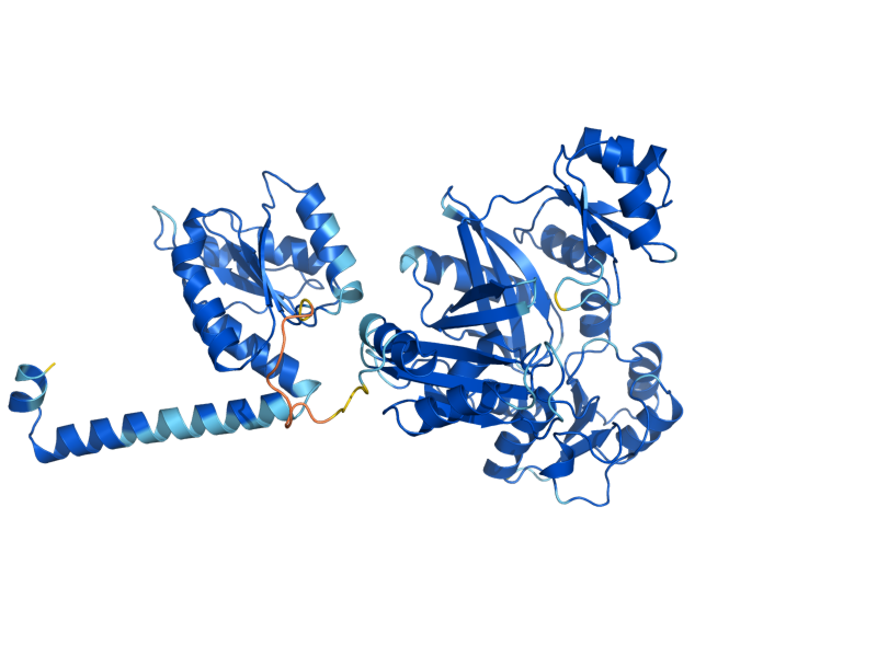 AlphaFold predicted structure of ADE2