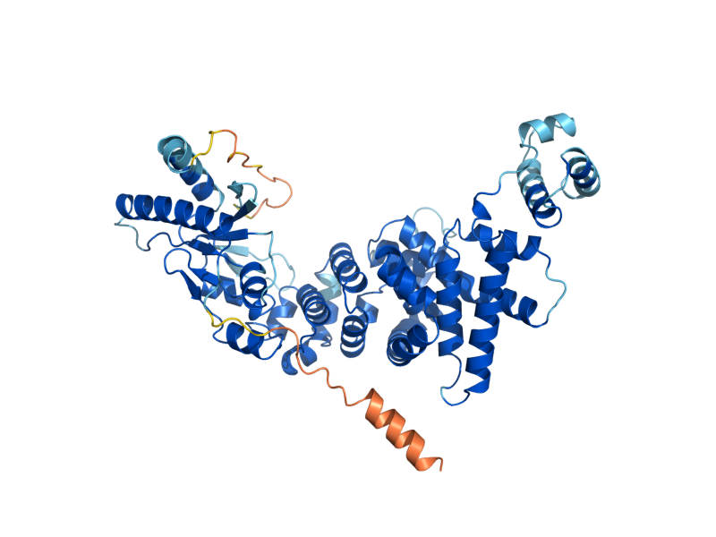 AlphaFold predicted structure of CCA1