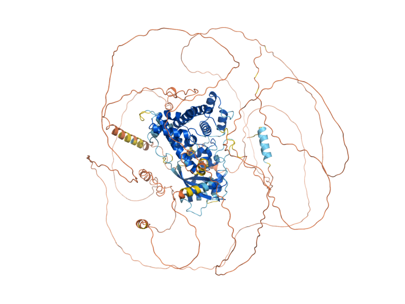 AlphaFold predicted structure of MSB1