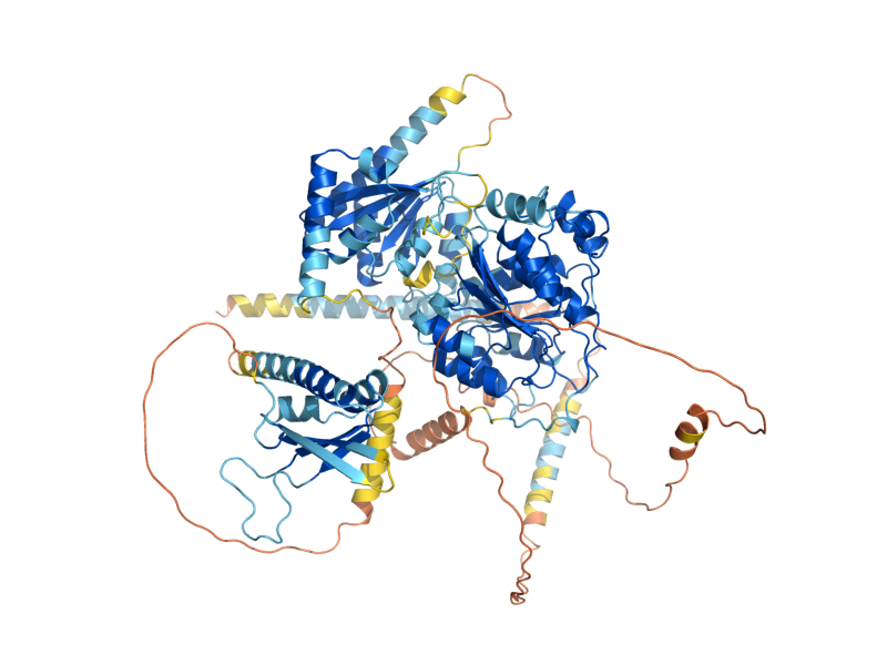 AlphaFold predicted structure of PRP5