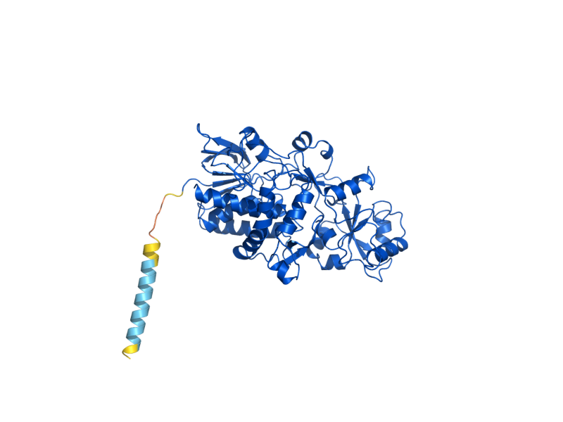 AlphaFold predicted structure of OSM1