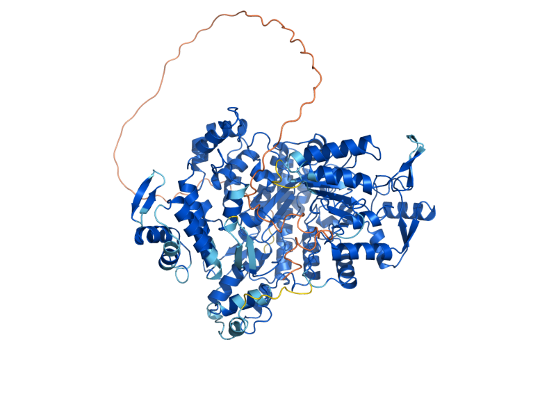 AlphaFold predicted structure of RNR1