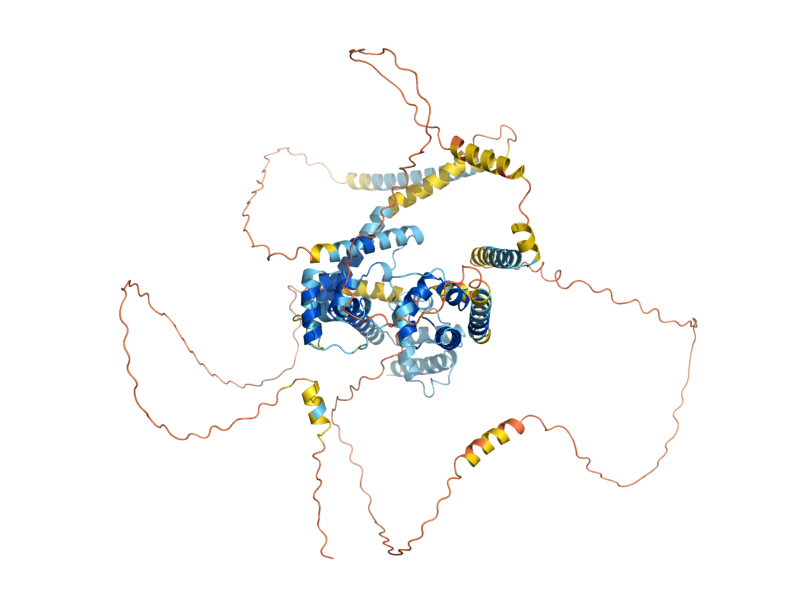 AlphaFold predicted structure of REB1