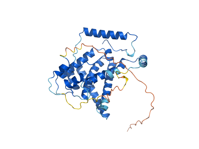 AlphaFold predicted structure of CBP3