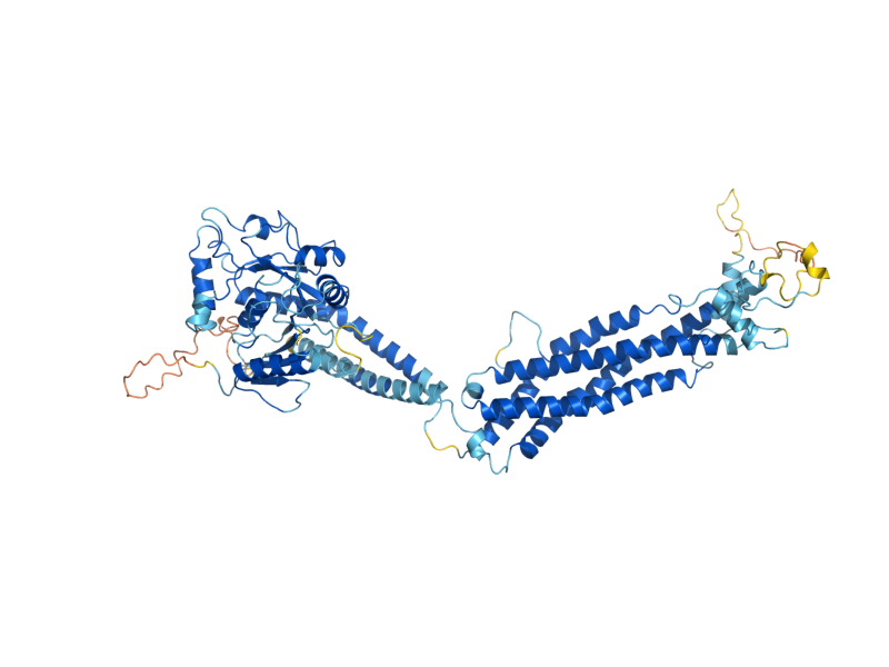 AlphaFold predicted structure of VPS1