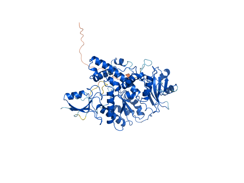 AlphaFold predicted structure of DIT1
