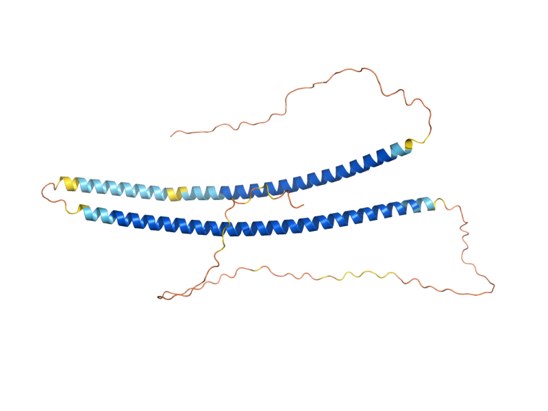 AlphaFold predicted structure of REC107