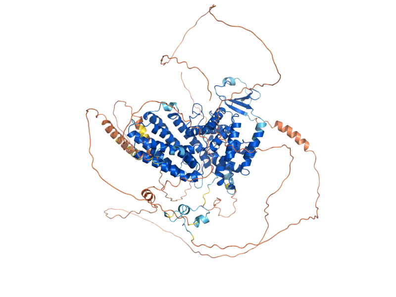 AlphaFold predicted structure of DAL81
