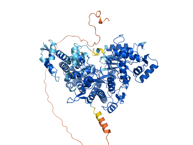 AlphaFold predicted structure of RNR3