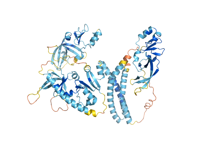 AlphaFold predicted structure of SIR1