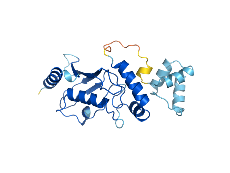 AlphaFold predicted structure of UBC1