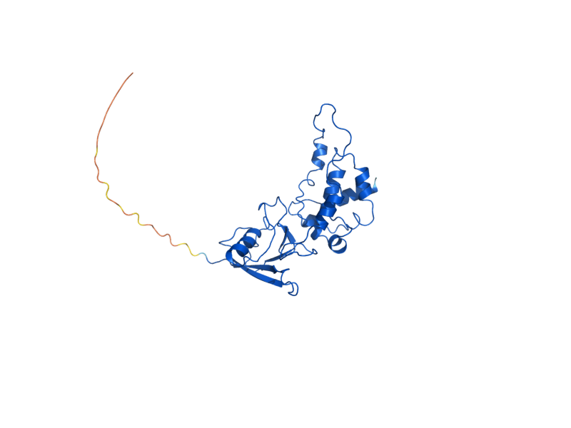 AlphaFold predicted structure of SDH2