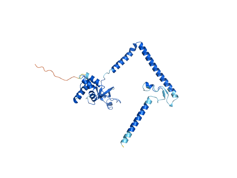 AlphaFold predicted structure of SEC62