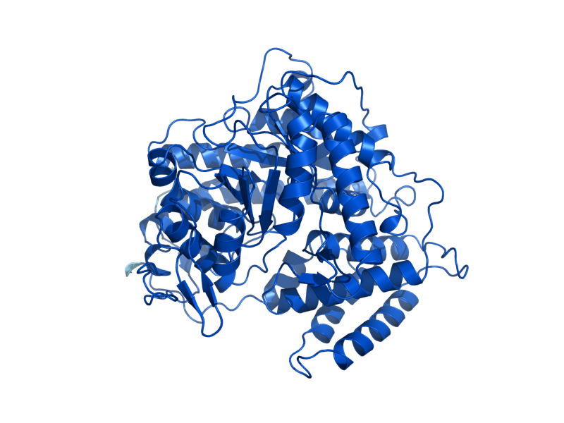 AlphaFold predicted structure of DAL7
