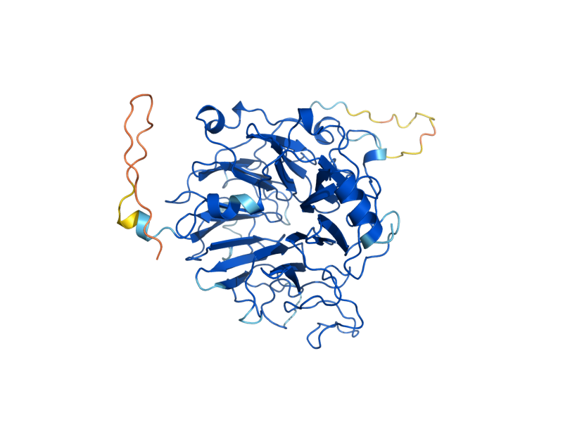 AlphaFold predicted structure of SRM1